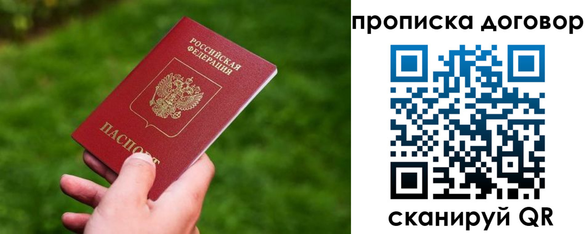 прописка гарантия в Моршанске
