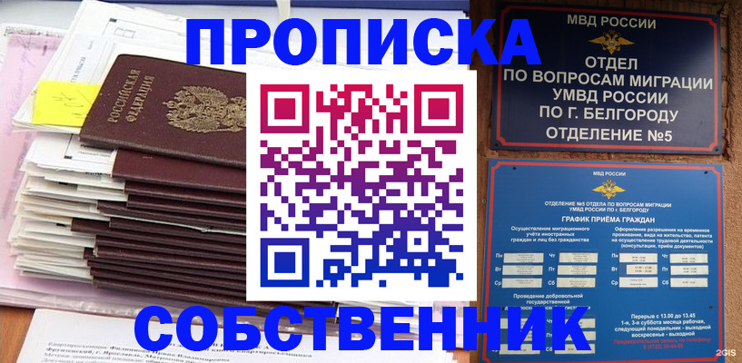 прописка законно в Моршанске